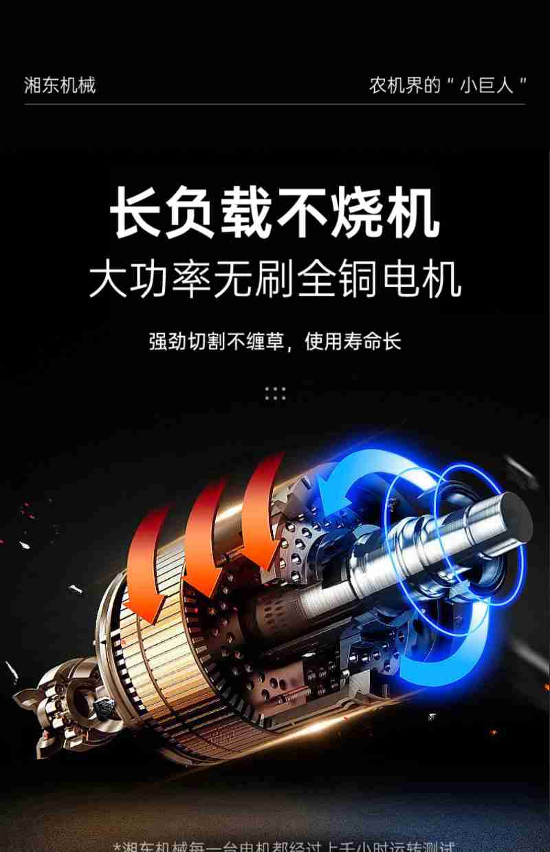 瑷珲历史陈列馆研学活动(图片由受访单位提供)